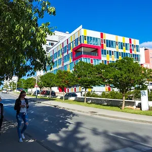 Dentex 4 Zadar